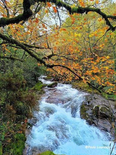 Ribeiro de outono no Gerês, entre folhas douradas e alaranjadas