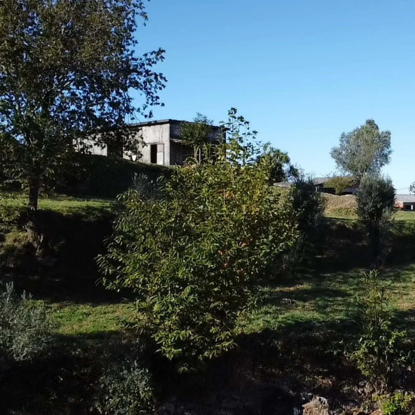 A antiga casa de campo antes da transformação